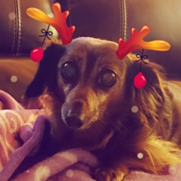 Meet your Posher, Debra - Picture 3 of 12